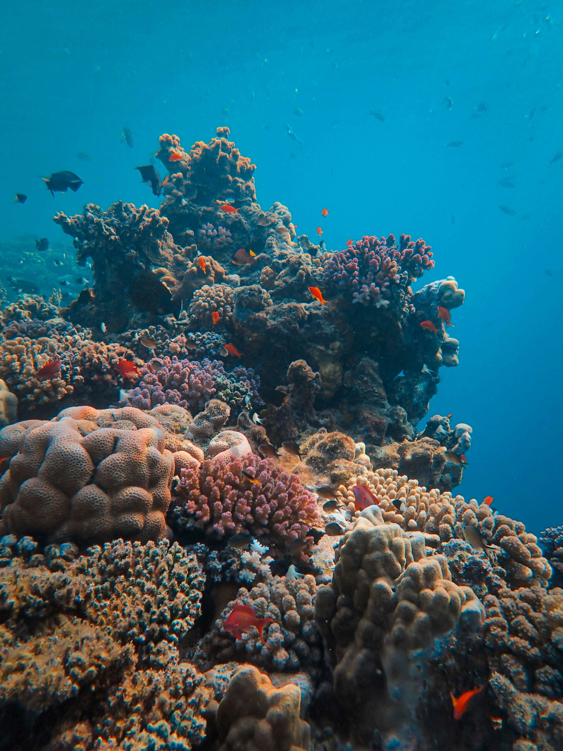Ocean Science