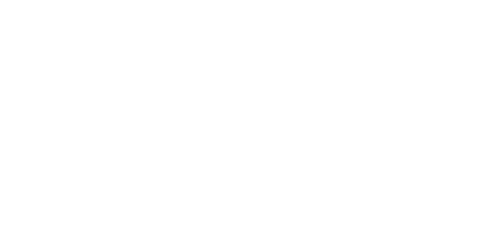 White_CMMI_Logo_no background